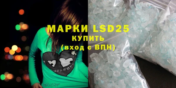 ГАЛЛЮЦИНОГЕННЫЕ ГРИБЫ Баксан