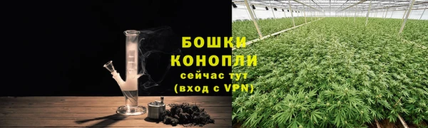 ГАЛЛЮЦИНОГЕННЫЕ ГРИБЫ Баксан