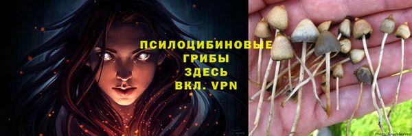 сатива Балахна