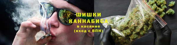 сатива Балахна