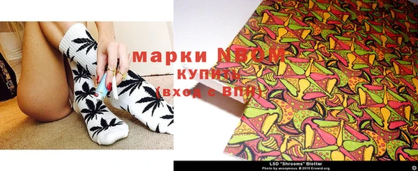 ГАЛЛЮЦИНОГЕННЫЕ ГРИБЫ Баксан