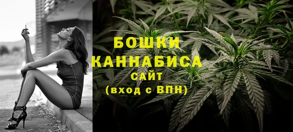 сатива Балахна