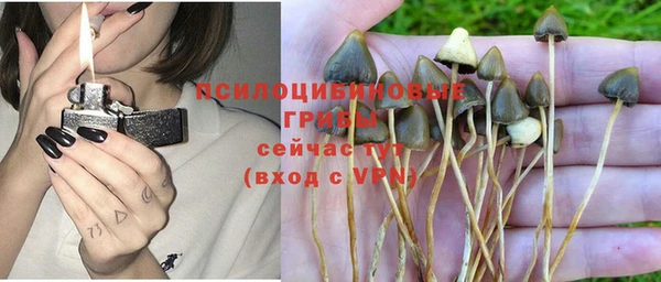 сатива Балахна