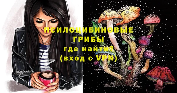 ГАЛЛЮЦИНОГЕННЫЕ ГРИБЫ Баксан