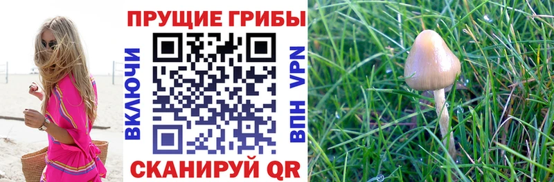 Псилоцибиновые грибы ЛСД  нарко площадка официальный сайт  Ворсма  купить  сайты 